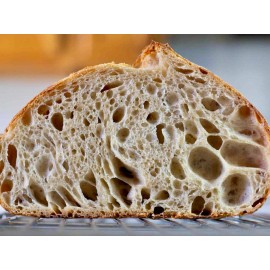 Great Grandmas San Fran Sourdough Starter Alaska Sourdough Starter | Live Wild Yeast Culture from Alaska | Heirloom