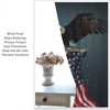 American Flag Blackout Curtain,Flying Bald Eagle American Flag Window Curtains