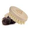 Truffle Brush by InterGourmandise - Essential Tool for Preparing and