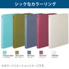 Kokuyo File Flat File NEOS Thick Binding Holds 250 Sheets