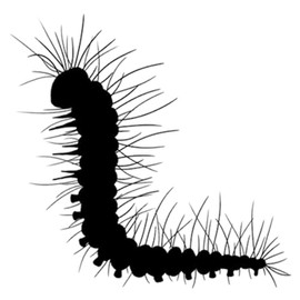 Lavinia Stamps, Clear Stamp - Christopher Caterpillar