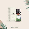 Aceites Esenciales de Arbol de Té Aromaterapia - Natural 100%