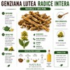 NATURA D'ORIENTE Radice di Genziana Intera 200g per Liquori