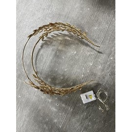 DRESBE Light Up Greek Goddess Headband LED Leaf Headbands Glow Roman Hair Accessories for Women (Gold, Free Size)