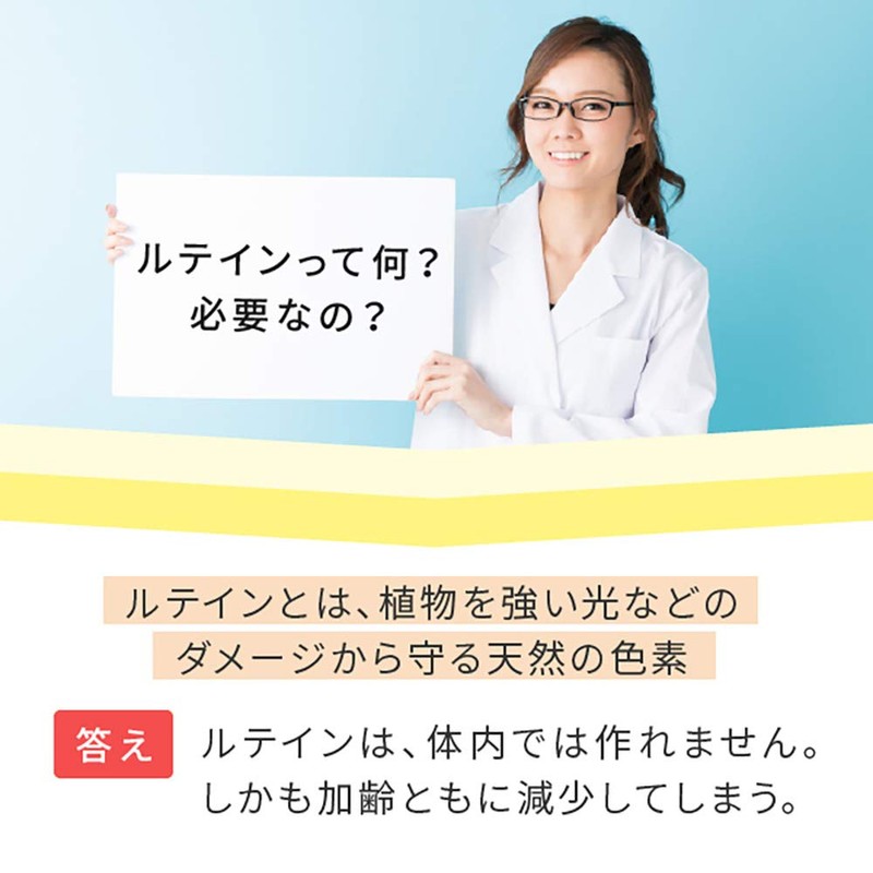 nichie ルテイン ゼアキサンチン パウダー 27g 約3ヶ月分