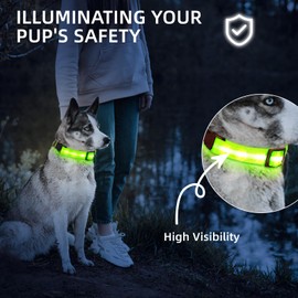 PetIsay Light up Dog Collar - High Visibility & Durable Nylon Material - USB C Rechargeable & Waterproof LED Dog Collar for Night Walking,Lighted Dog Collar Glow in The Dark Flashing(Green,L)