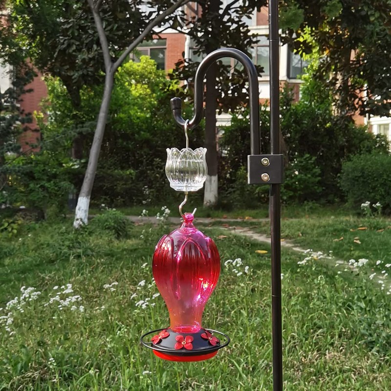 Glass Ant Moat for Hummingbird Feeder - 2PC x 3