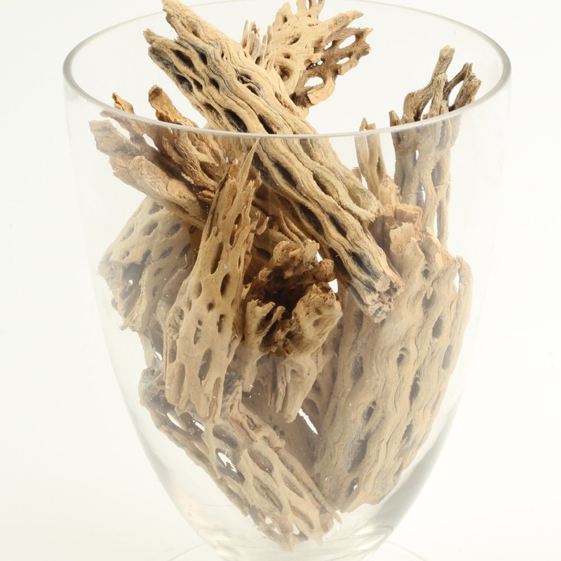 Koyal Wholesale Natural Cholla Wood Aquarium Branches, Airplants Decor, Reptile