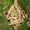 Eternity in a Box Silene Capensis AFRICAN DREAM HERB *Wild Harvested* 7 grams