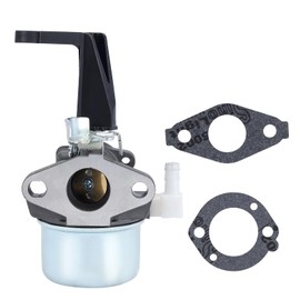 Hipa 696065 Carburetor Replace 215369 697422 for Brigs and Straton 110402 110412 6HP 6.5HP 5HP 5.5HP 7HP Generator Intek Motor Engine Tiller Water Pump Carb With Mounting Gaskets