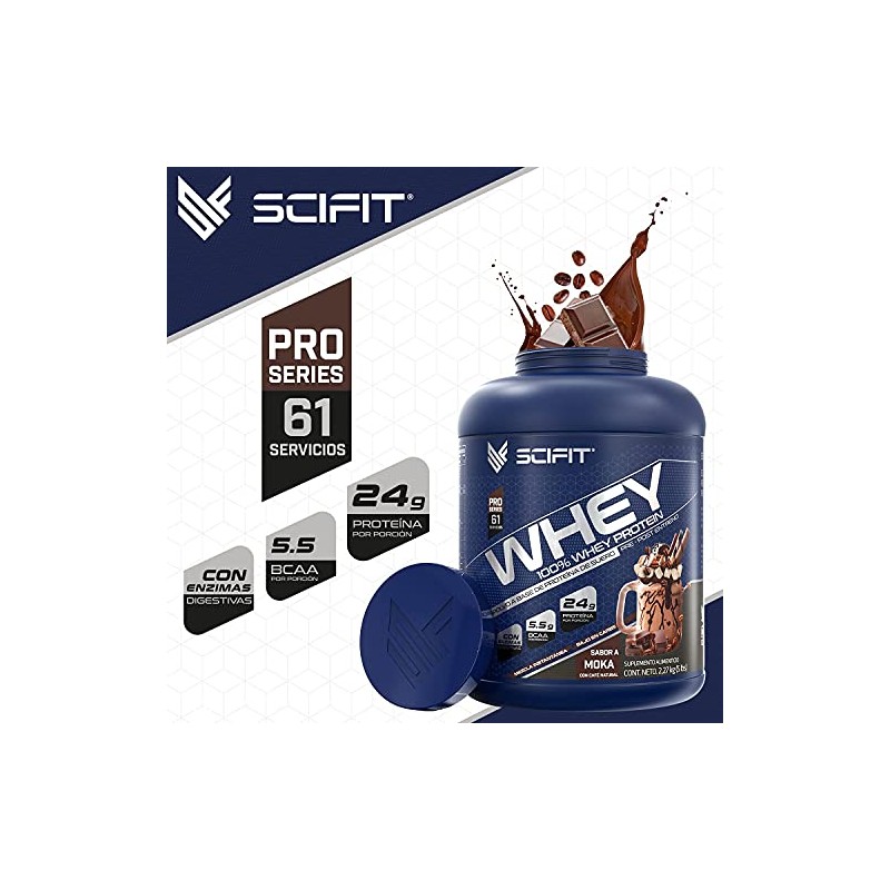 Scifit Protena Whey 24 g de Protena 100 Whey Protein