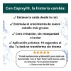 Kit 2 Tónico Capilar Crecimiento Cabello Anticaída Capixyl
