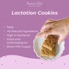 Bessie’s Best Lactation Cookies | Lactation Support | Oatmeal Peanut