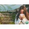 Buddha Teas - Organic Wormwood Tea - Herbal Tea -
