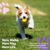 Hip and Joint Support Chews for Dogs - Glucosamine, MSM,