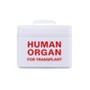 Vintage and Funny Human Organ Lunch Box,the Safest Box for