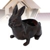 Rabbit Planter Animal Shaped Cartoon Succulent Plant Pot Garden Decoration