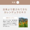 生活の木 Herbeduré - エルブデュレ - CALENDULA かかとバーム 12g フットケア スティックバーム