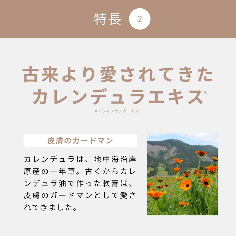 生活の木 Herbeduré - エルブデュレ - CALENDULA かかとバーム 12g フットケア スティックバーム