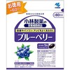 お得な6個セット　パソコン・読書をする方におススメ　小林製薬　ブルーベリー お徳用 60日分（60粒）