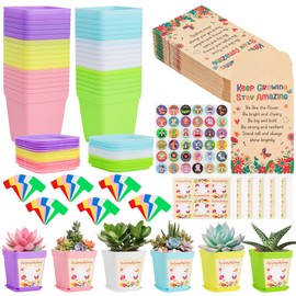 MestectPET 36Pack Gifts for Students from Teachers, School Leavers Flower Pots for 36 School Children, Class Gifts for Students from Teachers, Graduation End of Term Present for Children
