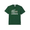 Lacoste Men's Signature Crocodile Print Cotton Crewneck Graphic T-Shirt Appalachan