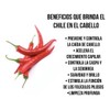 Alazan Shampoo, Con Chile Sabila Y Romero 1 Lt,