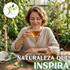 Xenivalle - Abedul Hojas Secas Natural para Té e Infusiones