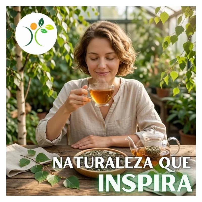 Xenivalle - Abedul Hojas Secas Natural para Té e Infusiones