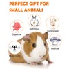 Sofier Hamster, Guinea Pig Toys Accessories Natural Chews for Teeth