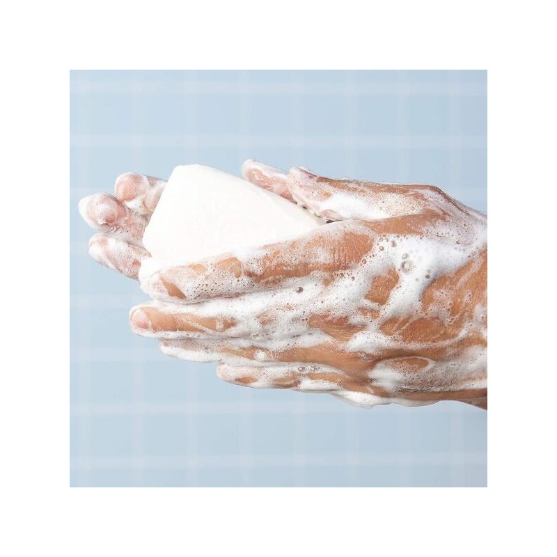 Lever 레버 2000 바디 레시 박테리아를 클렌저 비누 알로에 &