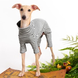 Dog Sweaters for Small Dogs Girls Boys, Striped Pet Sweaters for Fall Winter Dog Clothes, Turtleneck Pullover Knitwear for Small Medium Large Dogs