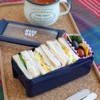 Iwasaki Industrial Lunch Box, 1-Tier, 18.3 fl oz (520 ml),