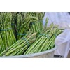 Seeds Green Asparagus Sparrow Grass Heirloom Vegetable for Planting Non