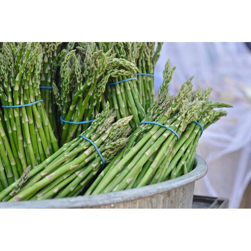 Seeds Green Asparagus Sparrow Grass Heirloom Vegetable for Planting Non