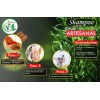 X4 Shampoo Tbvisana Crecimiento Romero, Canela, Clavo