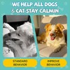 2PCS Calming Drops for Dogs & Cats - Feline Stress