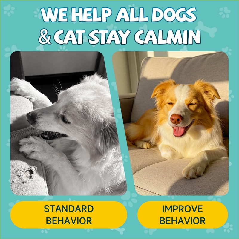 2PCS Calming Drops for Dogs & Cats - Feline Stress
