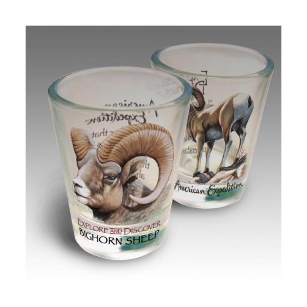 American Expedition 2SHT-146 SET OF - 2 SHOT GLASSES - BIGHORN SHEEP