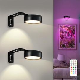 Maooght 2 Pack Black Picture Lights for Wall Battery Operated, 12 RGB Color Changing LED Wall Art Light, Magnetic Painting Light with Remote Control, Art Gallery Lights Photo Sconce for Art Display