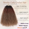 Beverlee kinky crochet hair 12 Inch Crochet Hair Curly 8