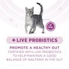 Purina ONE Plus Whole Body Support with Chicken Dry Cat