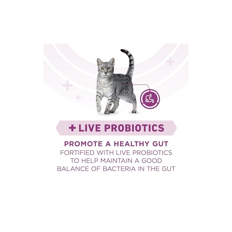 Purina ONE Plus Whole Body Support with Chicken Dry Cat
