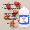 Deiman Artificial Food Flavor Strawberry E (1 Gallon)