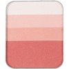 TAKAKO OHASHI Designer Face Color EX Peach Red 12g Teak