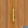 XFORT 3 Inch (75mm) Polished Brass Ball Bearing Hinges, Steel