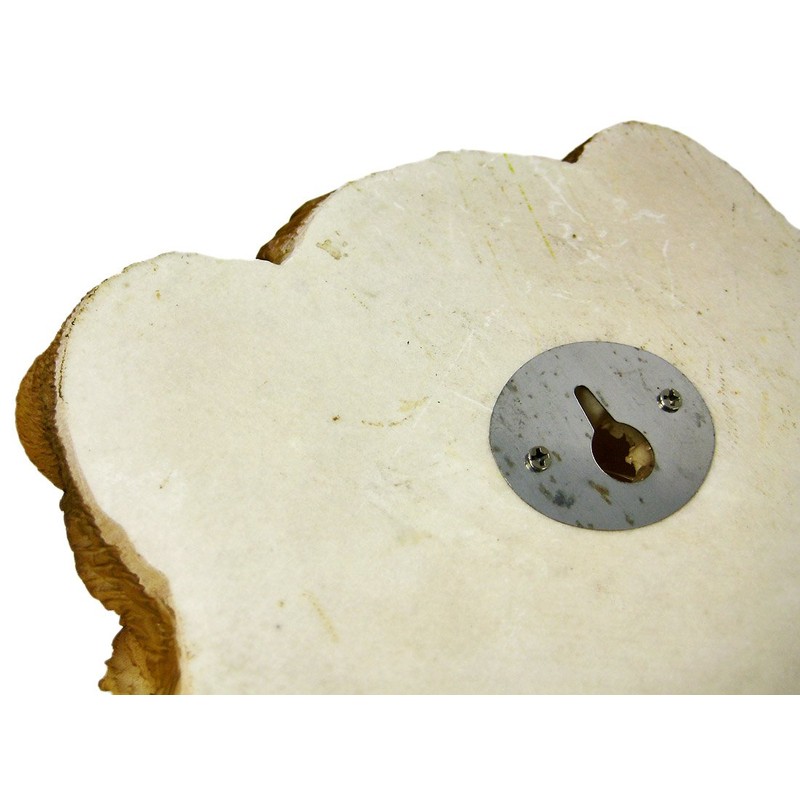 African Lion Head Mount Wall Statue Mini Bust Leo 9.5