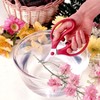 アルスコーポレーション 花はさみ フランバン ロングタイプ 180mm(ブリスターパック入) FL-18-BP