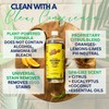 Whip It Cleaner, Multi Purpose Stain Remover CONCENTRATE, Makes 32