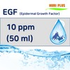 이지에프 앰플 EGF 상피세포 세포성장 증식재생 피부탄력저하 주름개선 보습 콜라겐합성촉진 10ppm/50ml Easy F EGF Ampoule EGF Epidermal Cell Growth Proliferation Regeneration Skin Elasticity Improvement Anti-Wrinkle Moisturizing Collagen Synthesis Promotion 10ppm/50ml